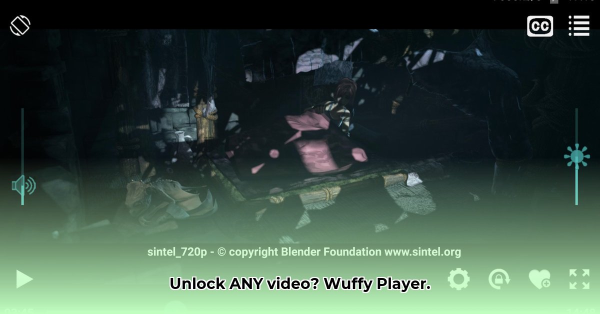 wuffy-player-apk